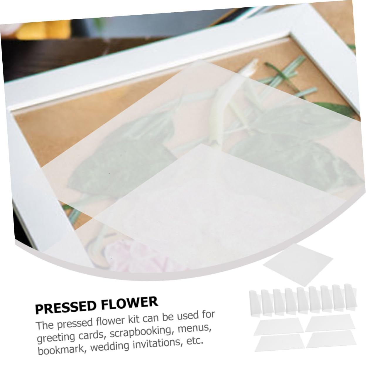DIYEAH 5juegos Kit Profesional De De Flores De Para Secar Accesorios Para Manualidades Placas Resistentes y Papeles Secantes Para Tarjetas y Decoraciones