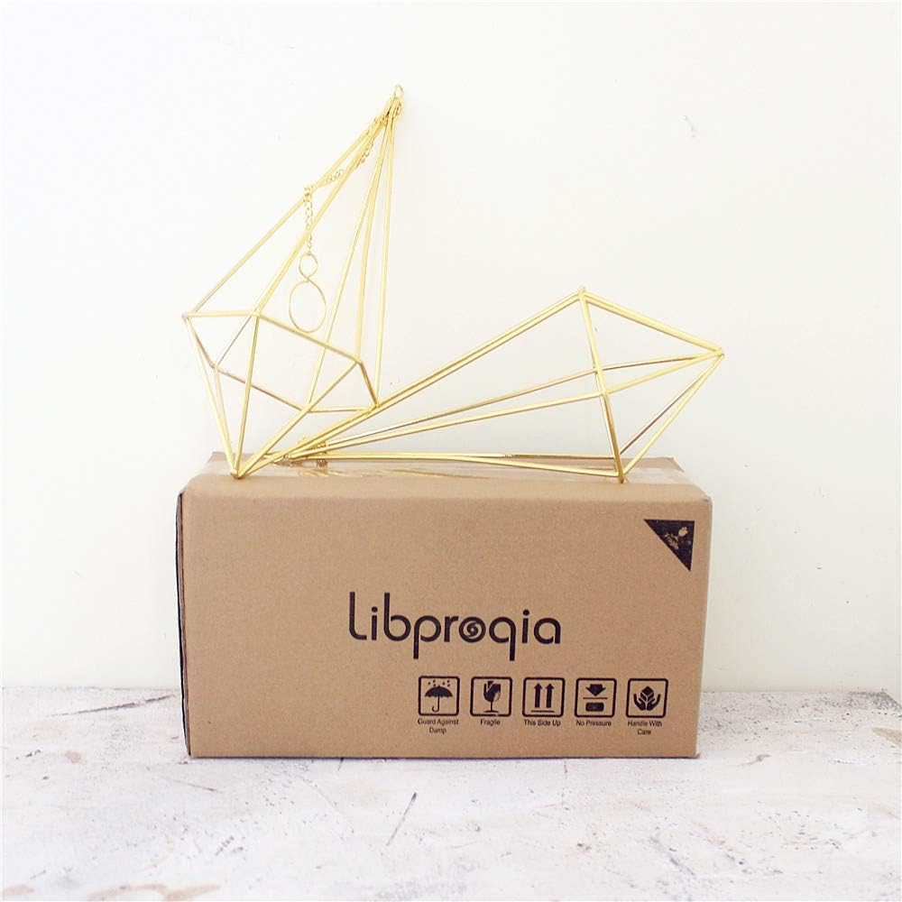 libproqia 2 Packs Golden Hanging Holders for air Plants,Metal Hanging Himmeli Decor,Modern Geometric Planter Tillandsia Air Fern Display for Home Party Office and Wedding Gift Idea