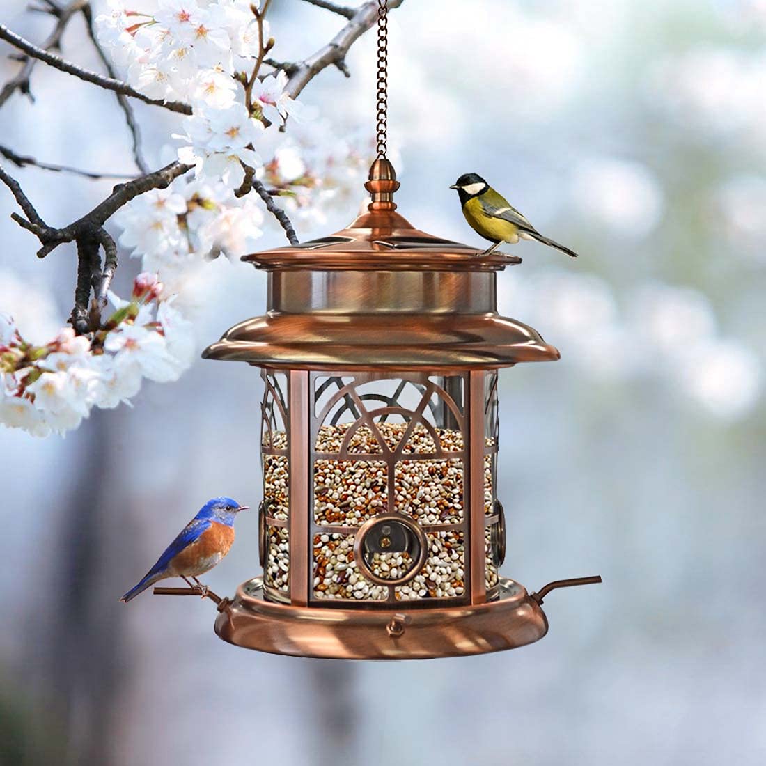WestcharmSolar Bird Feeder for Outside Hanging | Garden Solar Powered LED Arch Inlay Squirrel Proof Birdfeeder | Outdoor Solar Lantern Feeder for Birds | Gift for Bird Lovers - Antique Copper