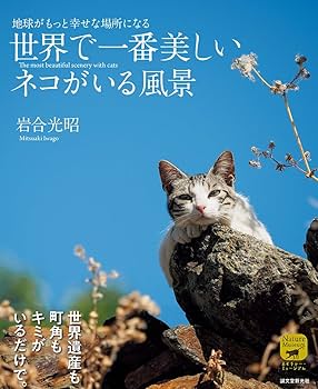 あなたに幸せ呼ぶ光の天使猫 あなたに幸せ呼ぶ光の天使猫 あなたに幸せ呼ぶ光の天使猫