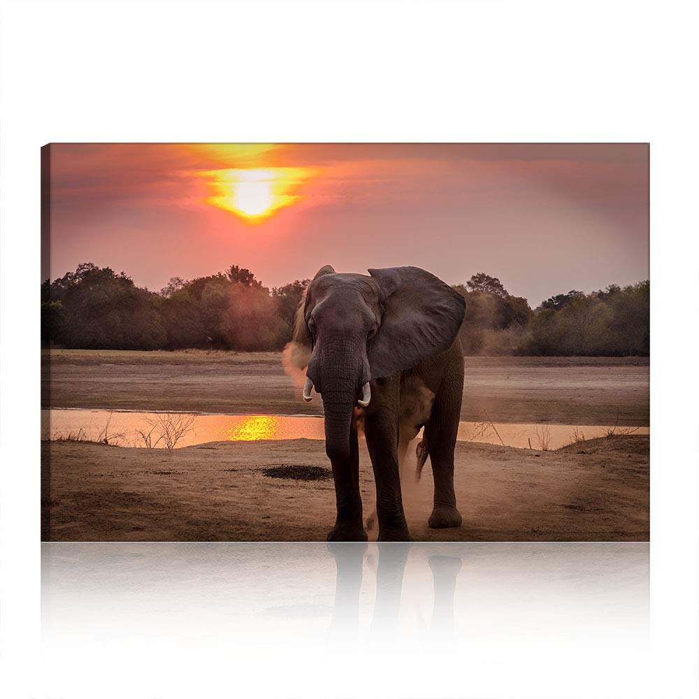Tableau éléphant coucher de soleil pour décoration murale grand salon moderne