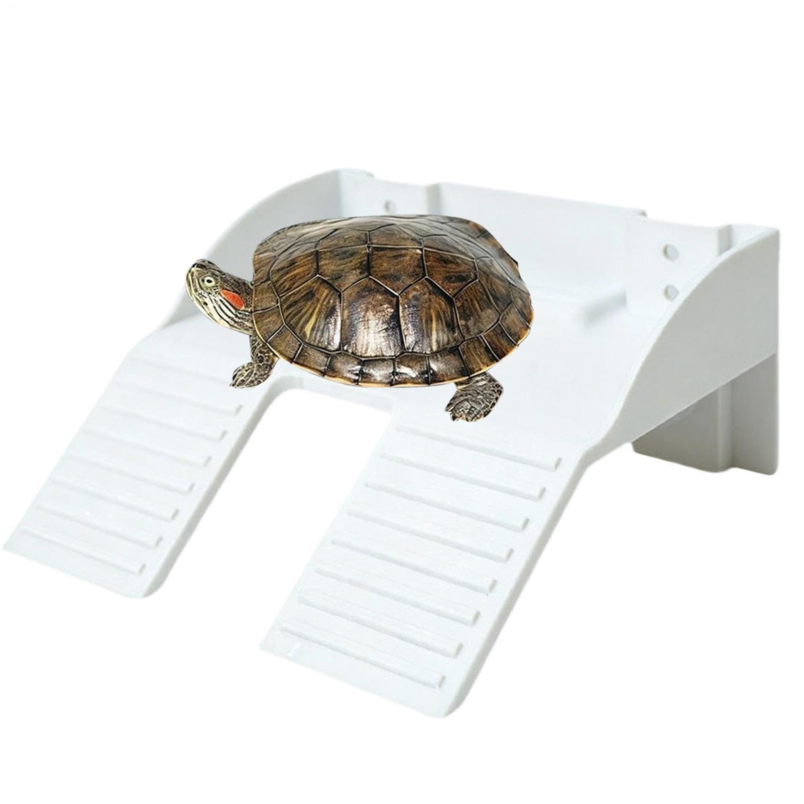 Terrasse tortue antidérapante et grande plage de bronzage reptile