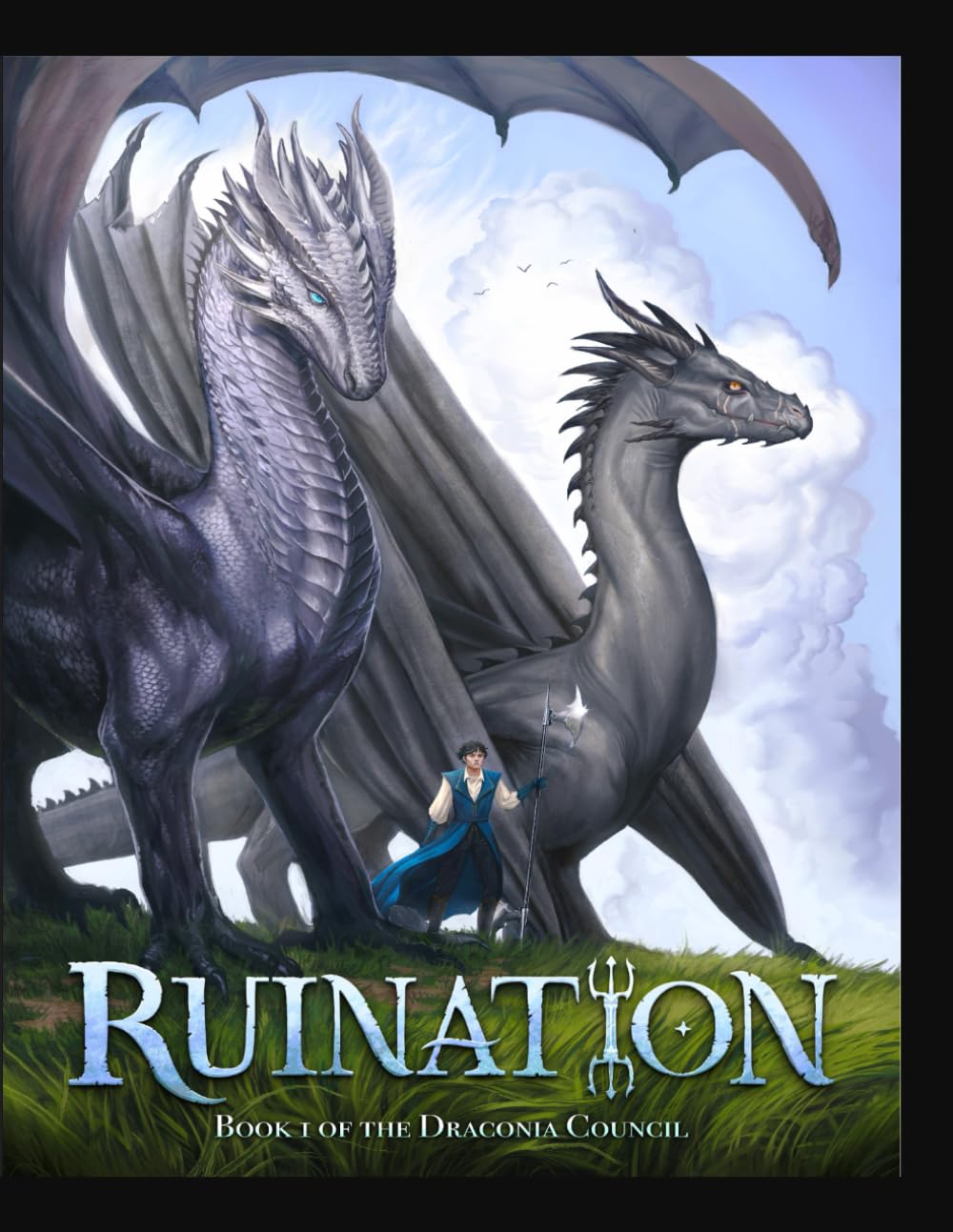 Ruination: A Fantasy Novel by (The Draconia Council Novels)