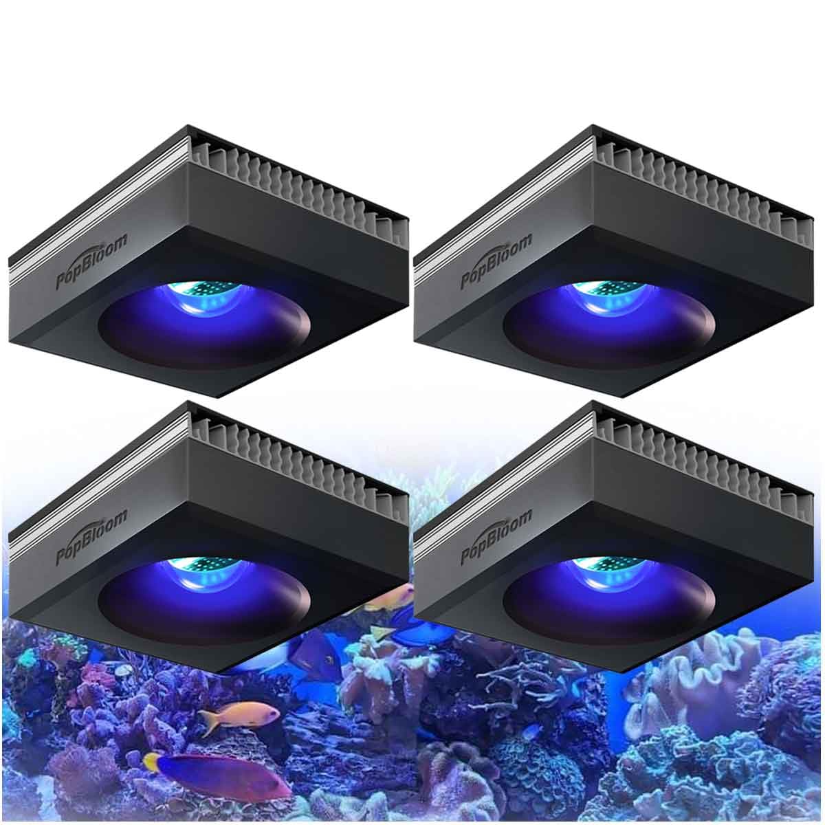PopBloom RL90 WiFi Luz Led Acuario Marino 100W, Lampara Acuarios Pantalla Led Acuario Coral, Luces para acuarios (4 lámparas con kit para colgar)