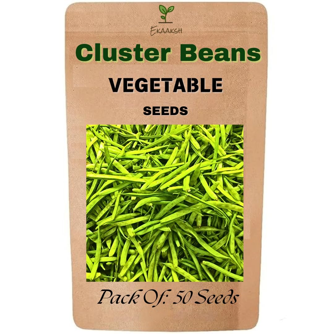 Ekaaksh - Cluster Beans Seeds + Free Seed Germination Paper + Planting Guide - New Seeds with Test Result - Best for Pots, Terrace & Kitchen Gardening-image-25