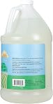 Ginger Lily Farms Botanicals Plant-Based 4-In-1 Lave-vaisselle Rincer l'aide, 100% Végétaux & Sans cruauté, sans fragrance, 1 C'est vrai.128 fl oz) Recharge, 128.00 Fl Oz (paquet de 1)