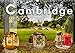 Produktbild Cambridge street view (Wandkalender 2022 DIN A3 quer)