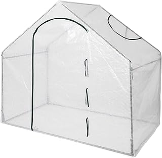 Greenhouse with Small Windows