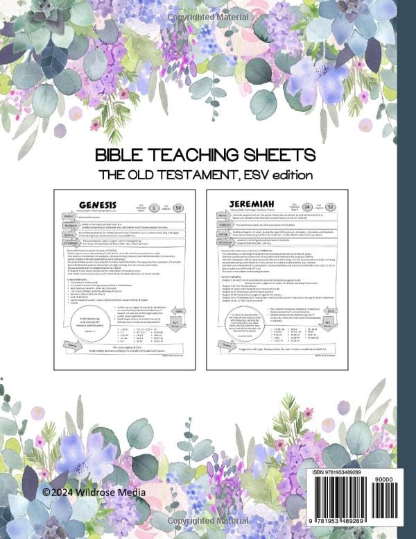 Bible Teaching Sheets - The Old Testament - ESV edition: Summaries for all 39 books of the Old Testament - Image 2