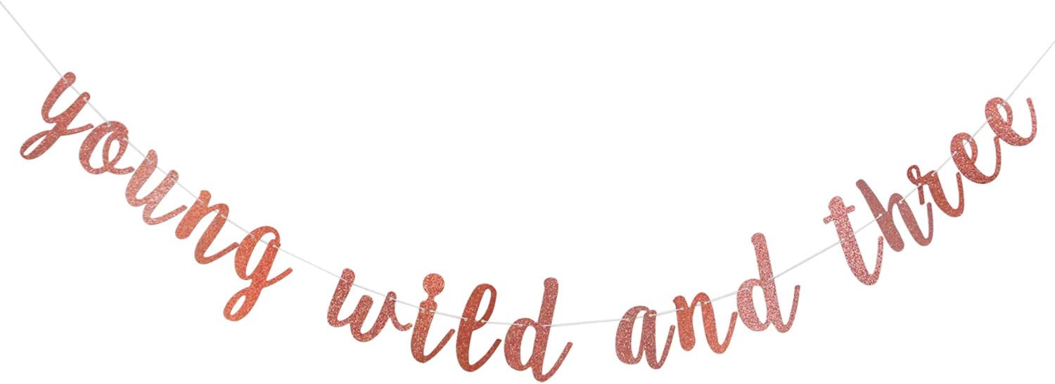 Rose Gold Glitter Young Wild and Three Banner - Happy 3rd Birthday Boy Girl Party Decorations - Great for Baby Shower Boho Tribal Themed 3rd Birthday Party Decor