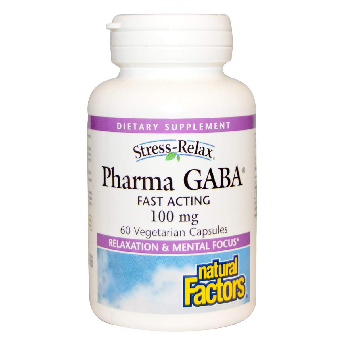 Natural Factors Pharma GABA - Dietary Supplement Supports Calm Sleep & Sleep Quality - Natural, Fast-Working Supplement Aids Focus & Brain Health - 60 Chewable Tablets (30 Servings)