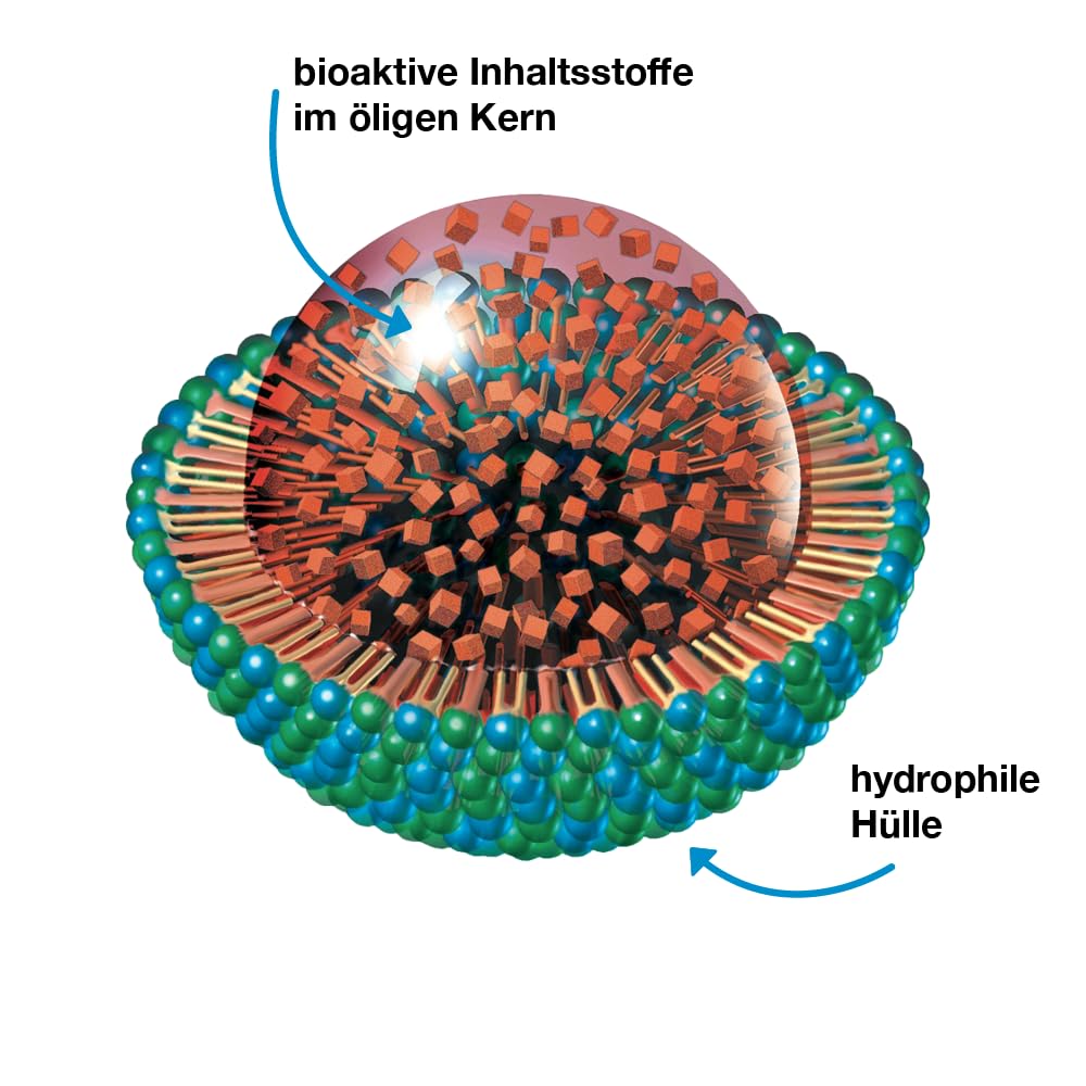 Q10-Loges® copcept 100 mg - 60 Kapseln - Nahrungsergänzungsmittel mit dem Q10-concept aus Ubichinon + Ubichinol und Vitamin B2