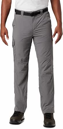 Columbia Men's Silver Ridge Cargo Pant