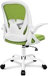 Président du Bureau Primy chaise de bureau ergonomique avec support Lombaire réglable et hauteur, chaise de bureau pivotante respirante Mesh Computer avec accoudoirs Flip up