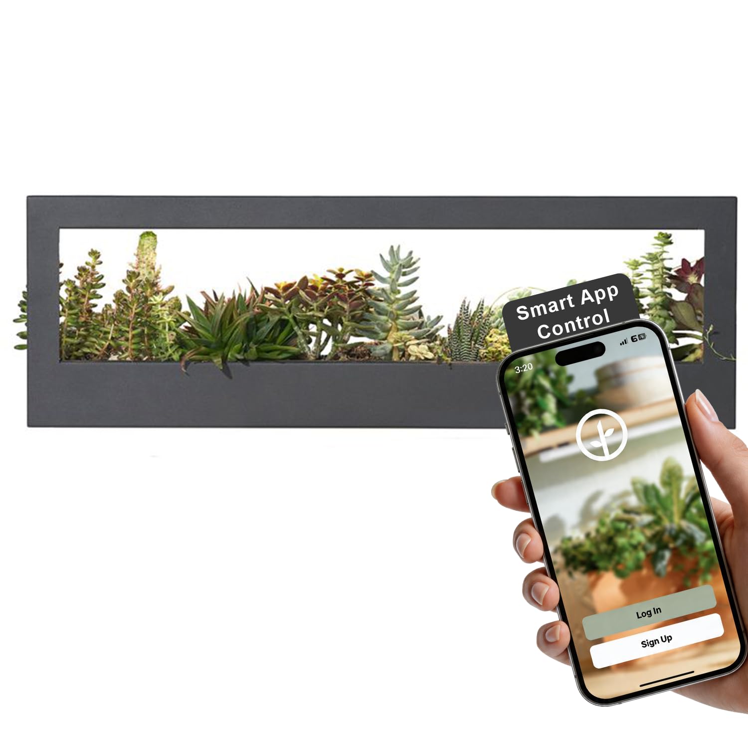 Amazon.com : Modern Sprout Smart Landscape Growframe - Wall