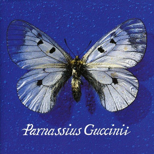 Parnassius Guccinii [Audio CD] Francesco Guccini