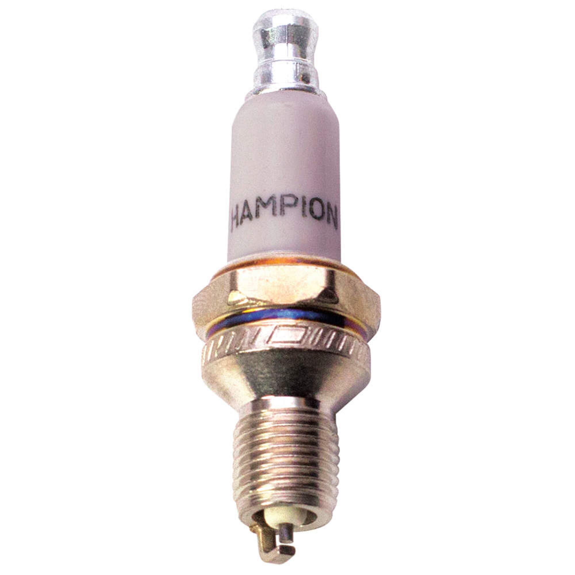 Amazon.com: Champion (2 Pack) RDZ4H (979) Copper Plus Small