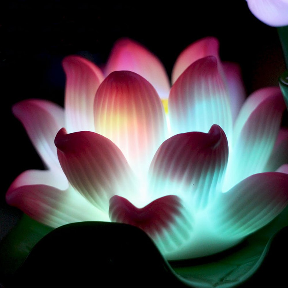 お盆にハスの花 LED Amazon｜RAYWILL 蓮花 蓮の花 仏花 造花 蓮 はすはな ロータス LED 7色