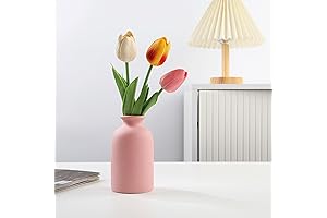 Charming Pink Ceramic Vase: Adornment for Home and Heart