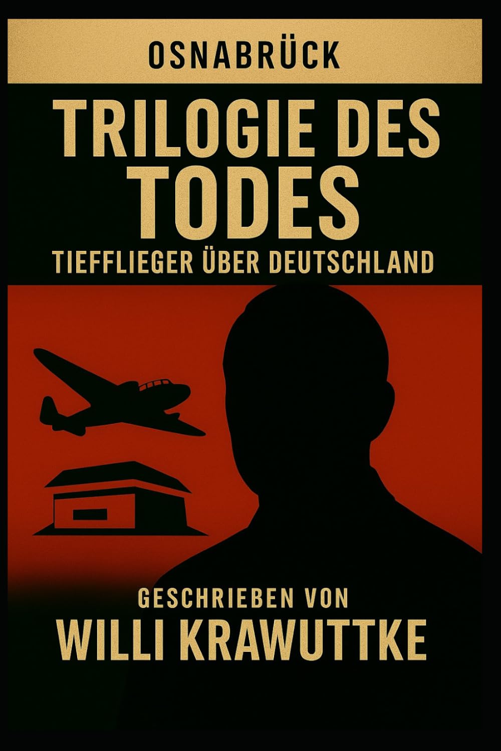 Osnabrück Trilogie des Todes Tiefflieger über Deutschland