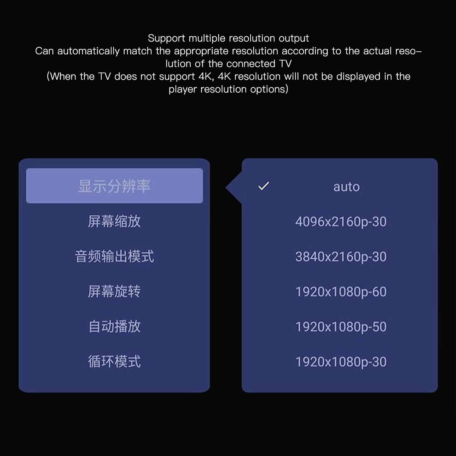 Lettore Multimediale Digitale Ultra HD 4K per unità USB e Schede di Memoria, Lettore Multimediale Mini HD, Lettore Multimediale PPT per Video Foto Musica con Supporto (EU)