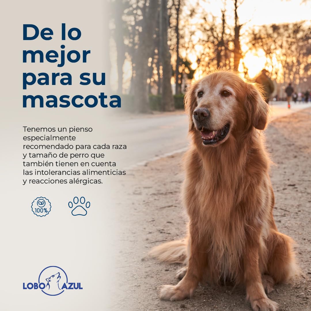 Pollo - Pienso Natural para Perros - Comida Baja en Calorías y Alta en Proteínas - Alimento Completo y Equilibrado para Perros Adultos - 15kg - Lobo Azul Super Premium