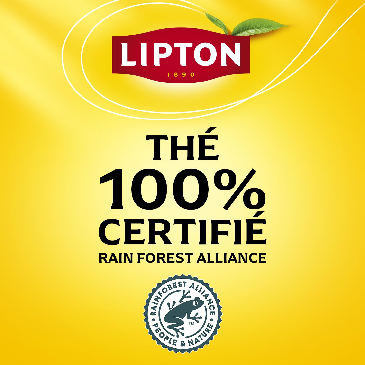 Lipton, Séléction Détente, Nouveau Coffret Thé et Infusions, 12 Goûts Différents, Thé Vert, Thé Noir et Infusions, Infusion à Froid ou Chaud, 1 Boite de 180 Sachets