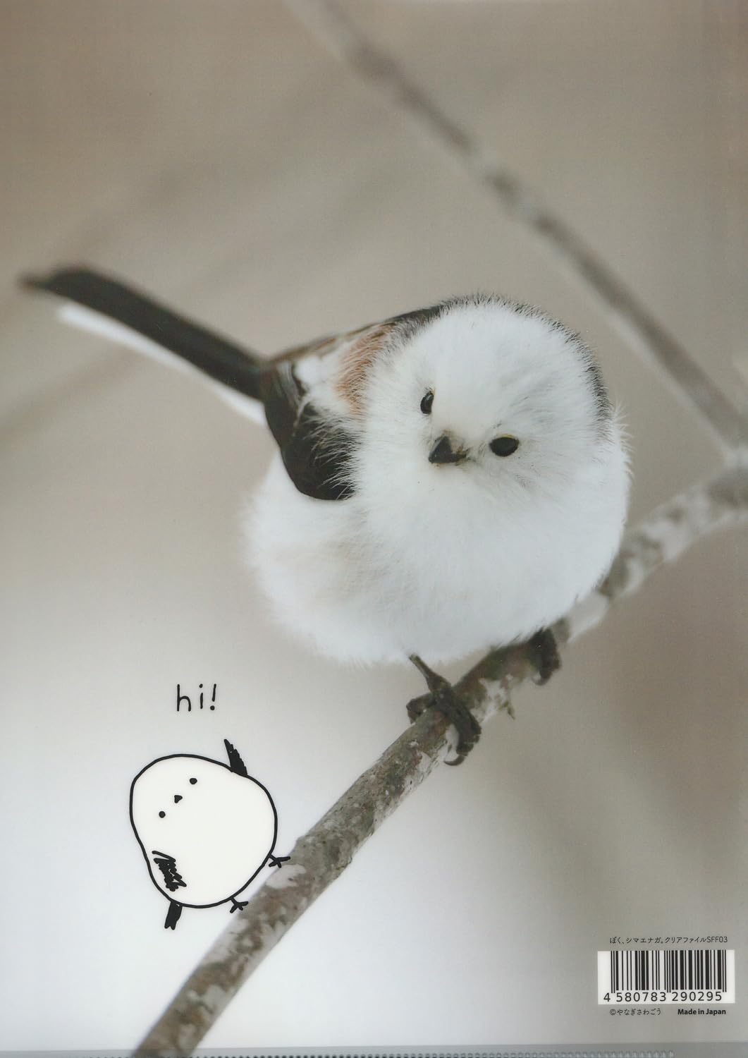 Amazon | ぼく、シマエナガ。 クリアファイル A4 03 | クリアホルダー Amazon | ぼく、シマエナガ。 クリアファイル A4 03 | クリアホルダー