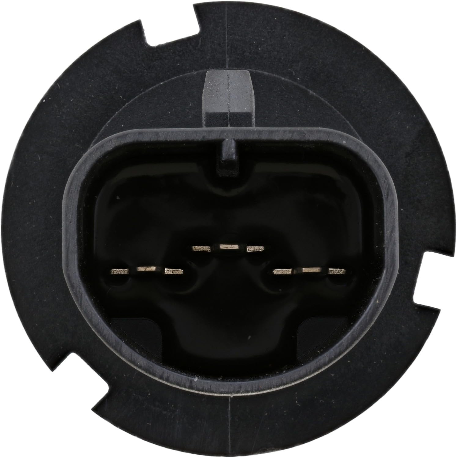 Amazon.com: High Beam and Low Beam Headlight Bulb Compatible
