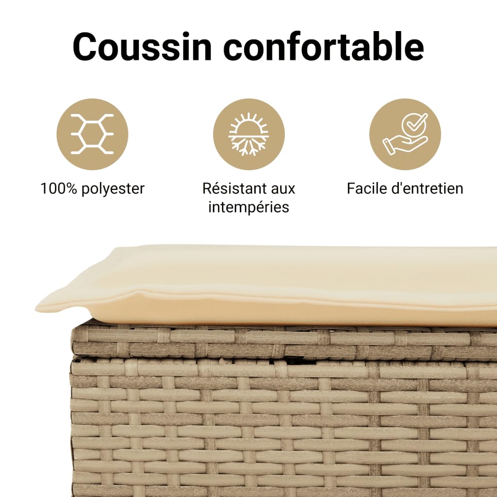 vidaXL Canapé de Jardin avec Coussins 2 Places, Siège avec Housse, Meuble de Terrasse Patio Balcon Extérieur, Beige Résine Tressée