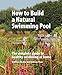 How to Build a Natural Swimming Pool: The Complete Guide to Healthy Swimming at Home
