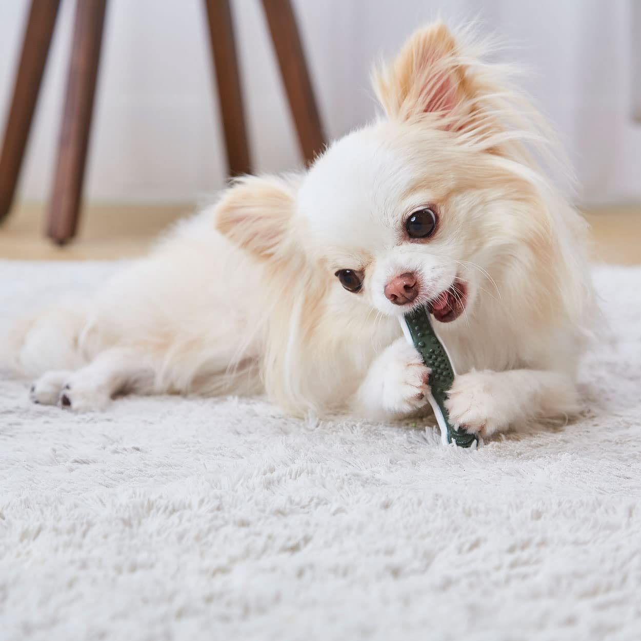 Amazon.co.jp: ペティオ (Petio) 犬用おもちゃ かんでるボーン