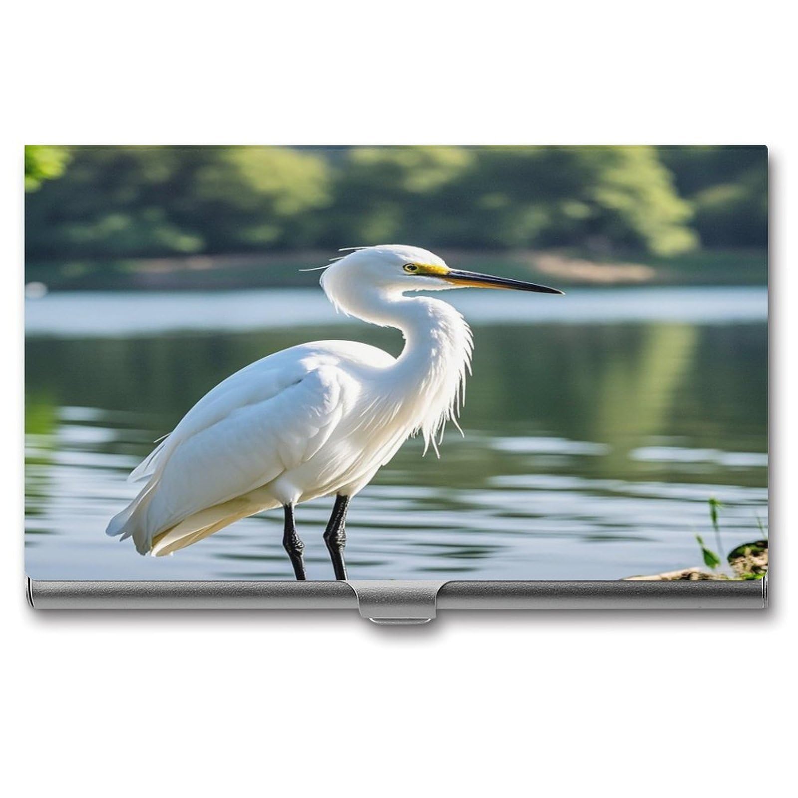 FekiLoot Heron Business Card Holder for Men & Women Professional Stainless Steel Business Card Case Large Capacity Slim Purse Name Cards Holders Buckle Style Shut