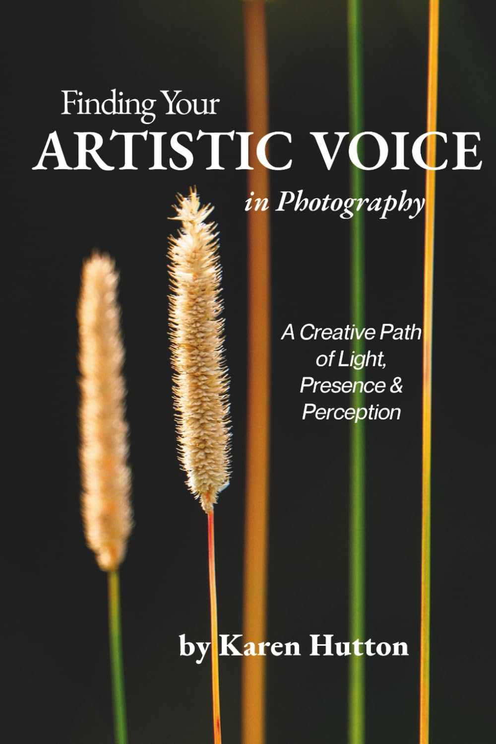 FINDING YOUR ARTISTIC VOICE IN PHOTOGRAPHY: A Creative Path of Light, Presence & Perception (Karen Hutton Photography)