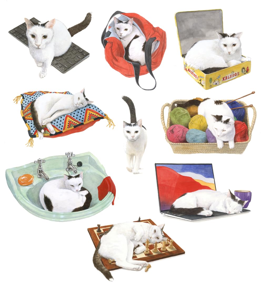 Kaleidos Games Purrfect - A Fun and Adorable Card Game for Cat Lovers and Families, Black / White, 13 cm x 17 cm x 0.1 cm - Image 4