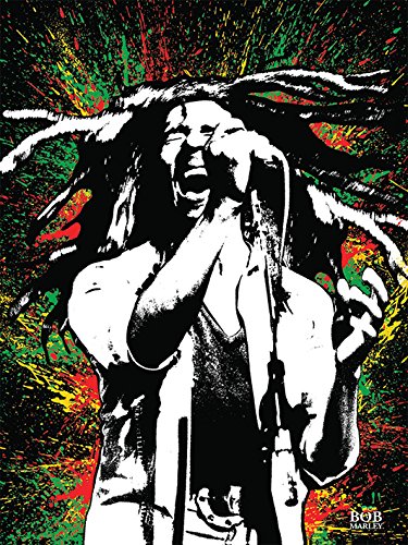 Amazon.com: Bob Marley Paint 60x80cm Canvas Print, Multi-Colour