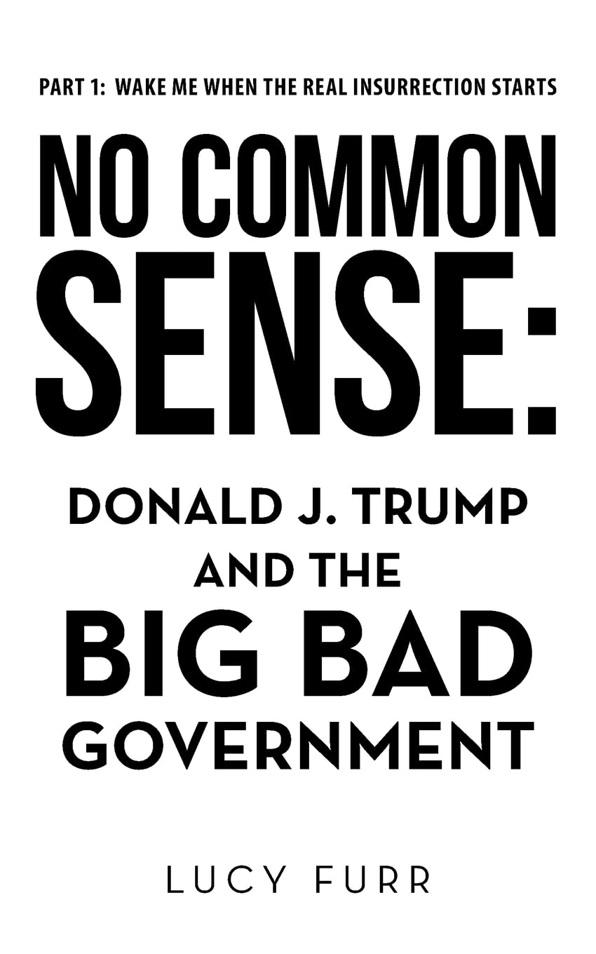 No Common Sense:: Donald J. Trump and the Big Bad Government