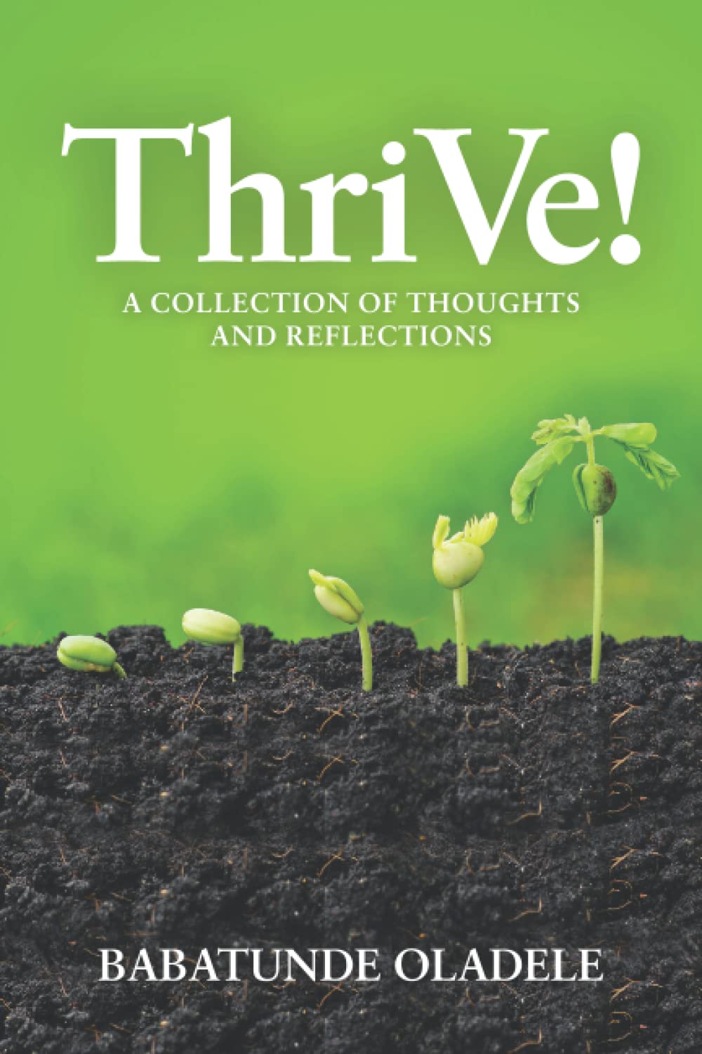ThriVe: A Collection of Thoughts and Reflections: 1 (ThriVe! with Babs)