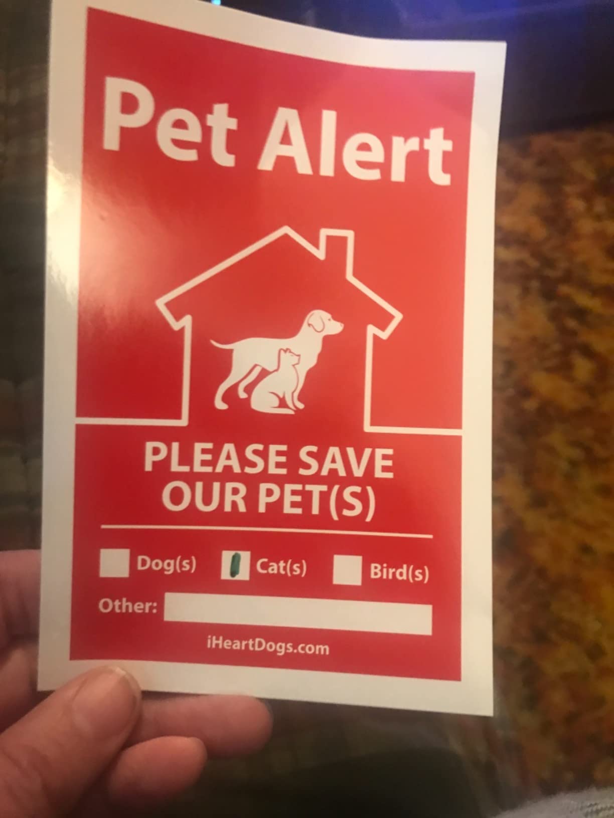 Animal League Emergency Cat Rescue Near Me What To Pack In A Cat