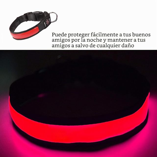 Foto 6 de 7 de Collar LED Iluminado USB Recargable Impermeable para Perro, Banda Nocturna con 3 Modos de Brillo