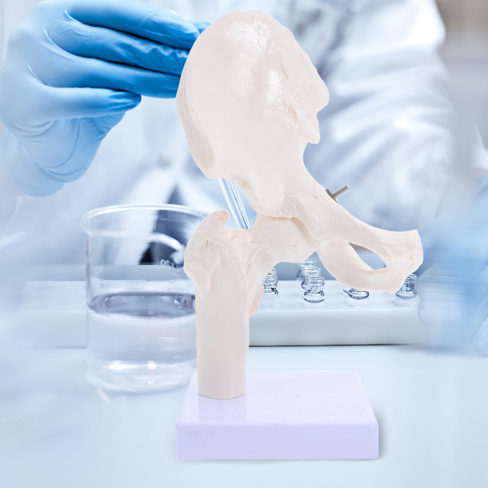 PRETYZOOM Modelo Didáctico de Articulación para Anatomía, Esqueleto Humano Móvil Desmontable Tamaño Mini, Material Duradero para Estudio Científico y Enseñanza Educativa