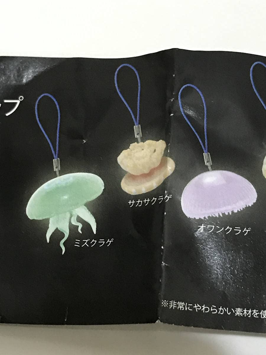 Amazon Co Jp ネイチャーテクニカラーmono クラゲソフトストラップ 蓄光 5種 ミズクラゲ サカサクラゲ オワンクラゲ ビゼンクラゲ カツオノエボシ ホビー 通販 Amazon Co Jp ネイチャーテクニカラーmono クラゲソフトストラップ 蓄光 5種 ミズクラゲ サカサクラゲ オワンクラゲ ビゼンクラゲ カツオノエボシ ホビー 通販