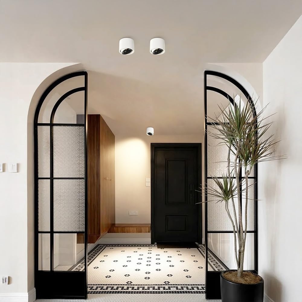 3.7" LED Ceiling Mount Spotlight Adjustable Spot Lighting Fixture Exposed Mounted Focus Accent Lamp, 30° Rotation Directional Spotlights for Living Room Hallway(Black+white-3500K)