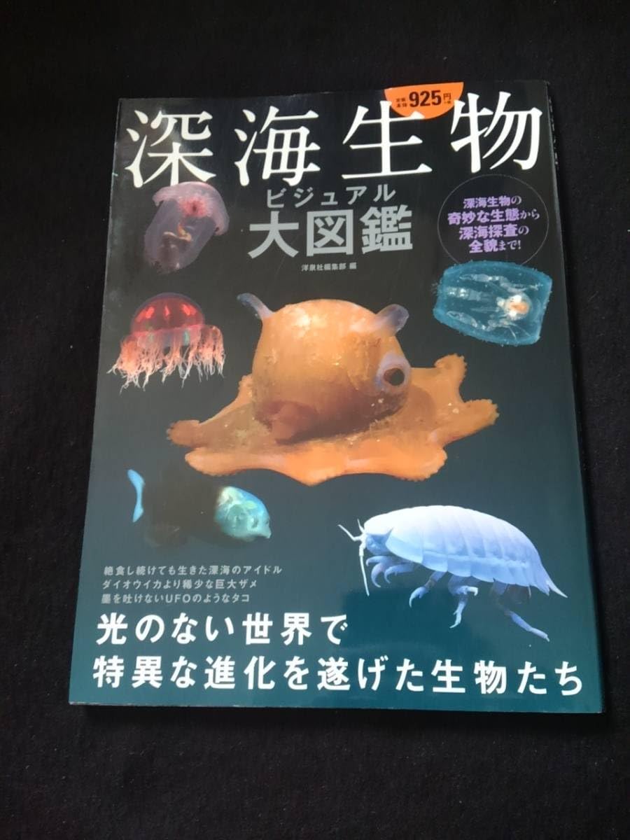 Amazon.co.jp: Deep Sea Creatures Visual Encyclopedia: Giant Squid