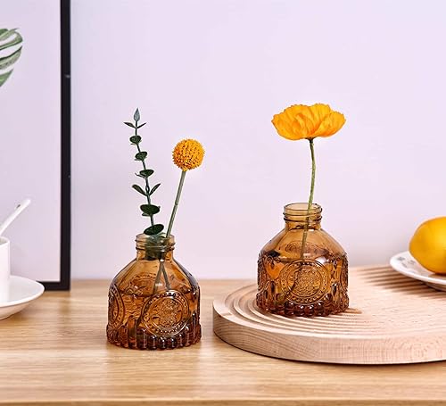 Miniatura 4 de Juego de 6 jarrones de vidrio, jarrones de flores de vidrio, botellas pequeñas para arreglos florales, jarrones florales decorativos rústicos para