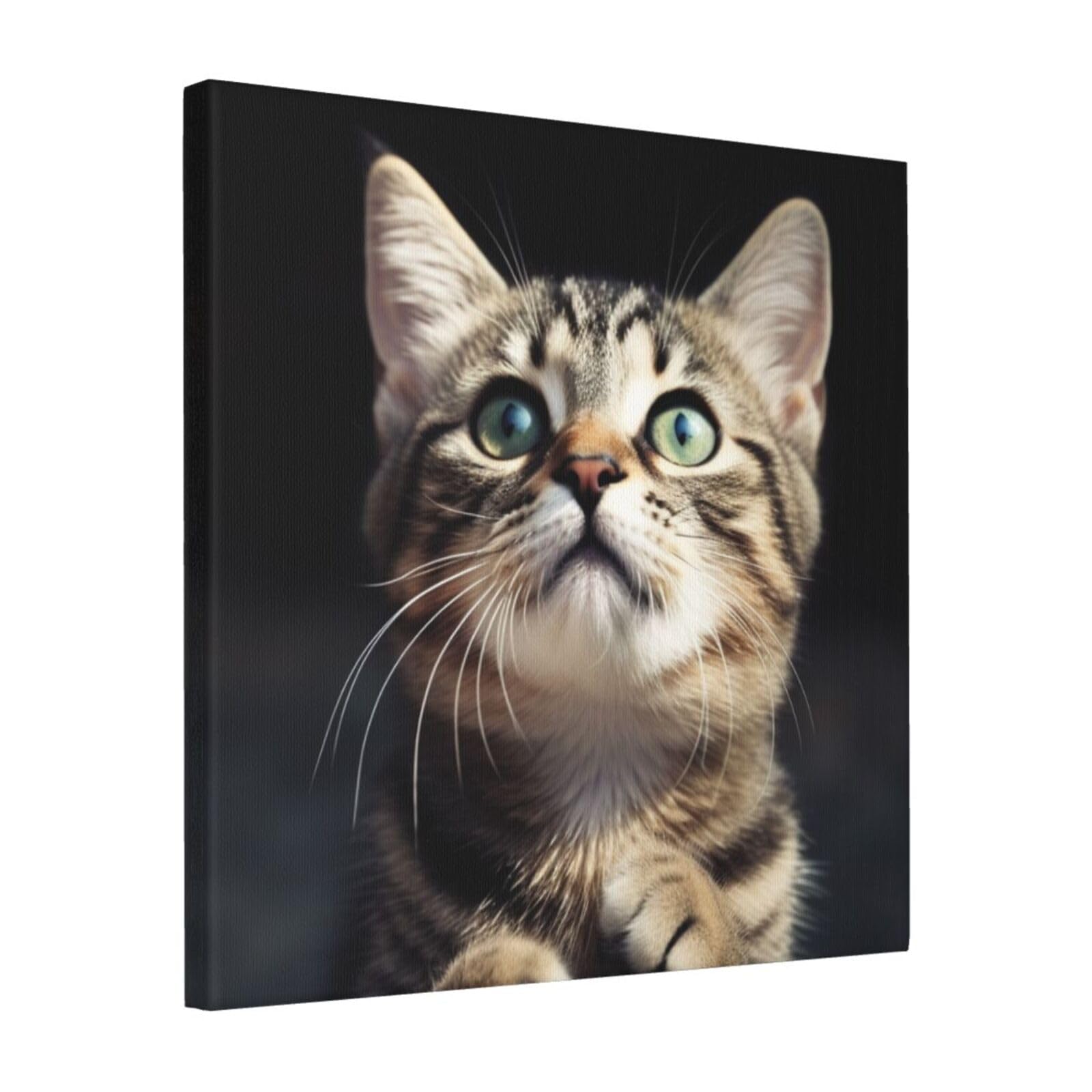 KLOPH Cat Canvas Wall Art for Living Room 16"x16" Modern Artwork Painting for Bathroom Hanging Canvas Prints Aesthetic Wallart for Bedroom Kitchen Office Wall Decor