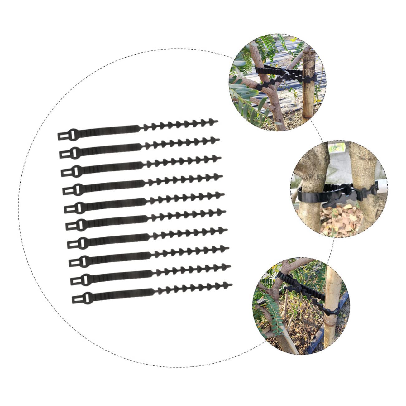 Baumbänder 10 Stück für Obstbäume Jungpflanzen Gummiverschlussband Schwarz Verstellbar zum Binden und Ausrichten von Ästen und Stämmen