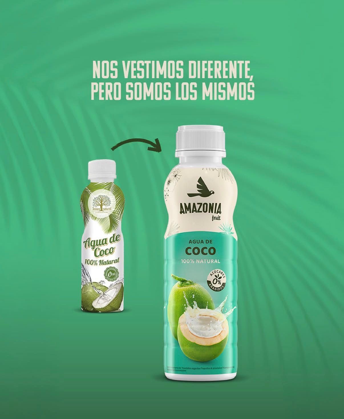 Tesoro Natural Agua de Coco 100% Natural, Pack de 12 Latas, 500 ml