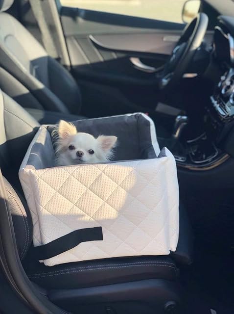 Foto 4 de 6 de Exclusivo asiento para perro