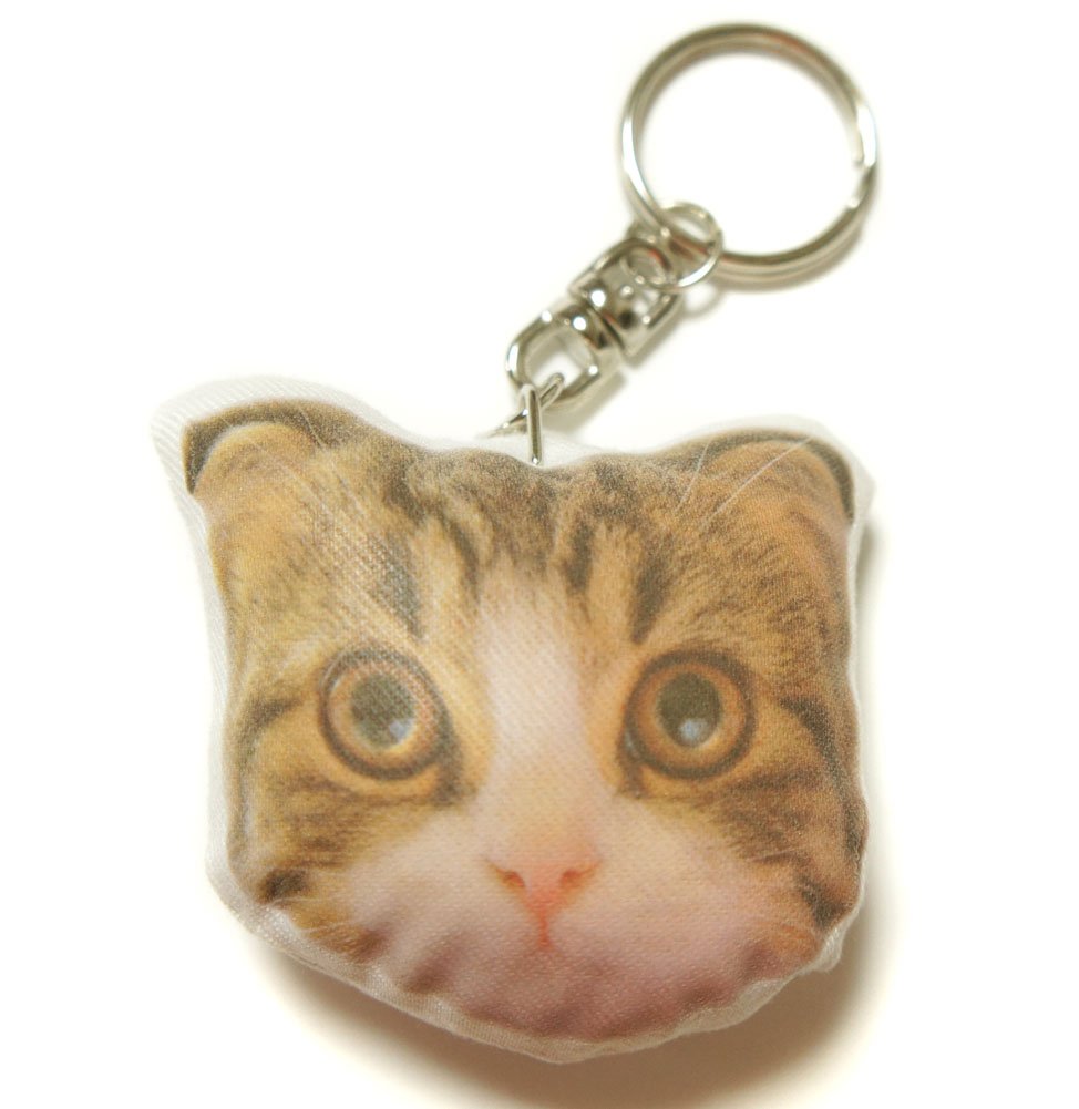 豆猫HOLDCATキーホルダー No.11キジ白〜特製豆猫トレカ付き c23e5eb251785d1104de217a5ec6b9